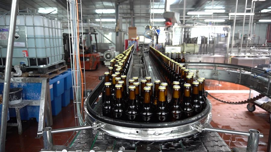 Filled bottles of beer on the production line