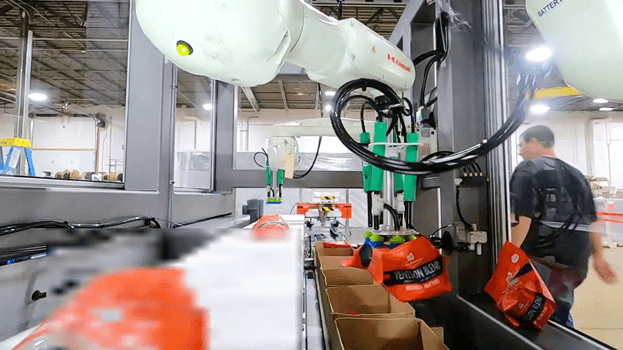 Vision-Guided Box Packing Using Inverted Robots