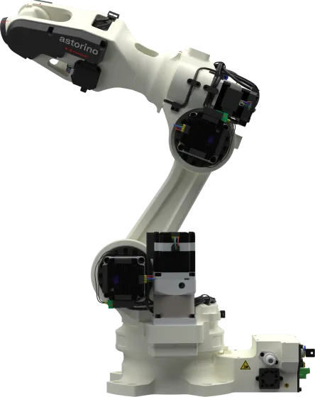 教育用ロボットAstorinoの写真