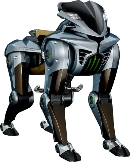 CORLEO（コルレオ）の写真